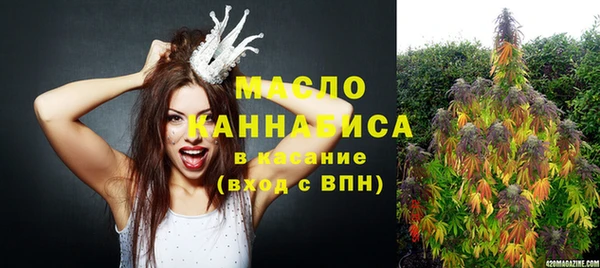 стафф Коряжма