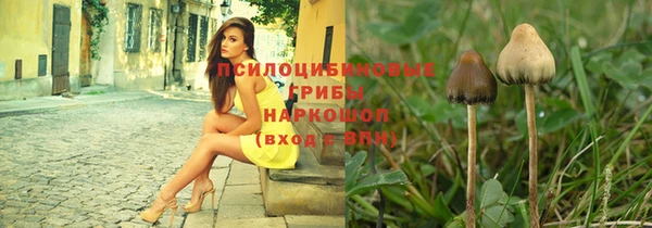 ешки Кодинск