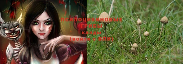 дмт Козельск