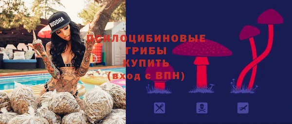 гашик Киренск