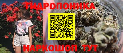 шишки Бугуруслан