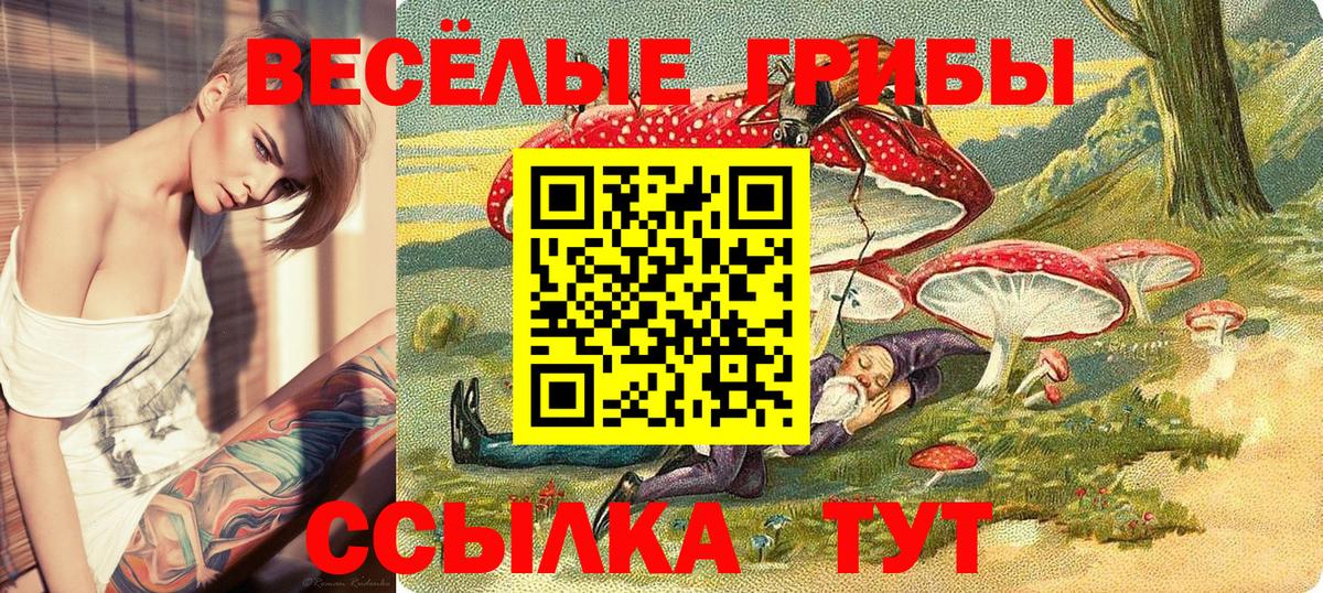 Галлюциногенные грибы Magic Shrooms Клинцы