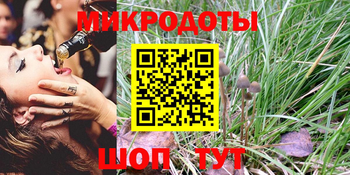 Псилоцибиновые грибы Cubensis  Вход с VPN  Клинцы 